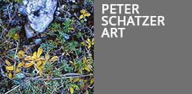Peter Schatzer Art