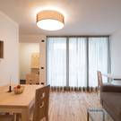 Apartment Schatzer
