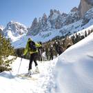 SKISAFARI nel comprensorio Dolomiti Superski