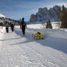 SLITTINI in diverse malghe della zona
